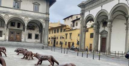 Bibliotheks-Praktikum in Florenz