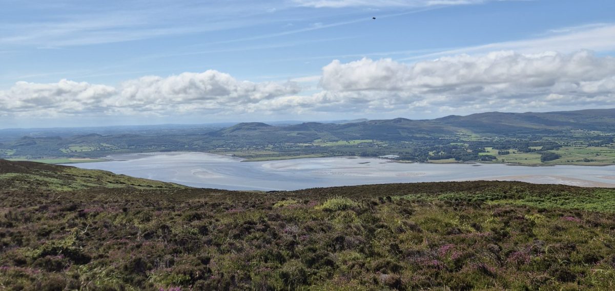 Zwei Monate im Westen Irlands: Praktisches Jahr in Sligo