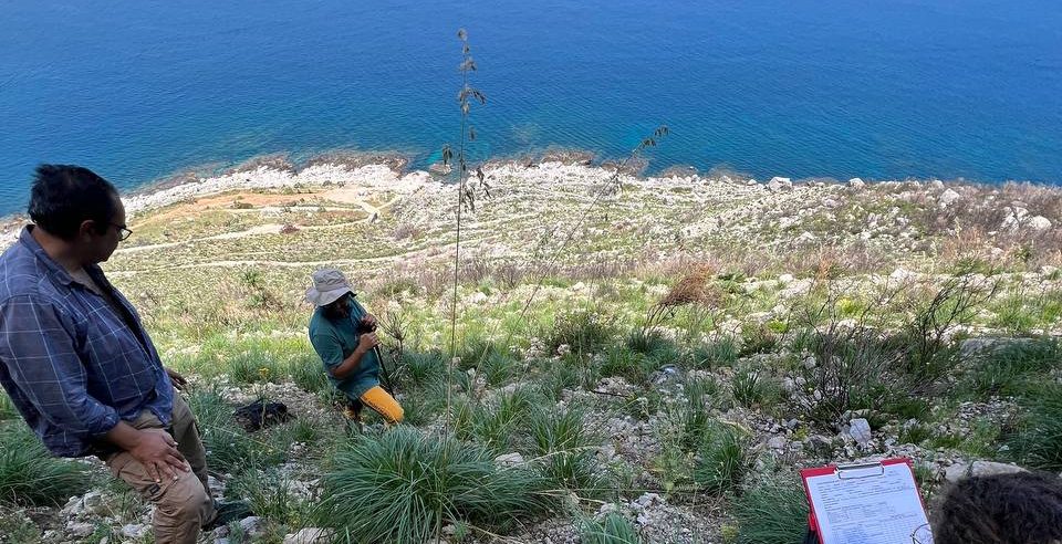 A botanical journey through Sicily