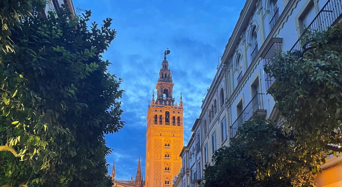 Internship in International Higher Education: Experiences from Universidad Loyola Andalucí