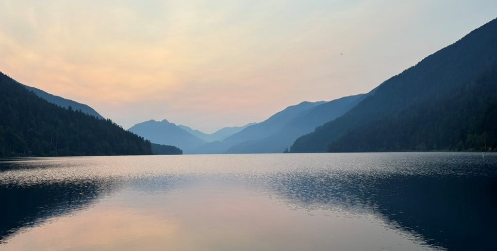 Biology Internship at the University of Washington, Seattle