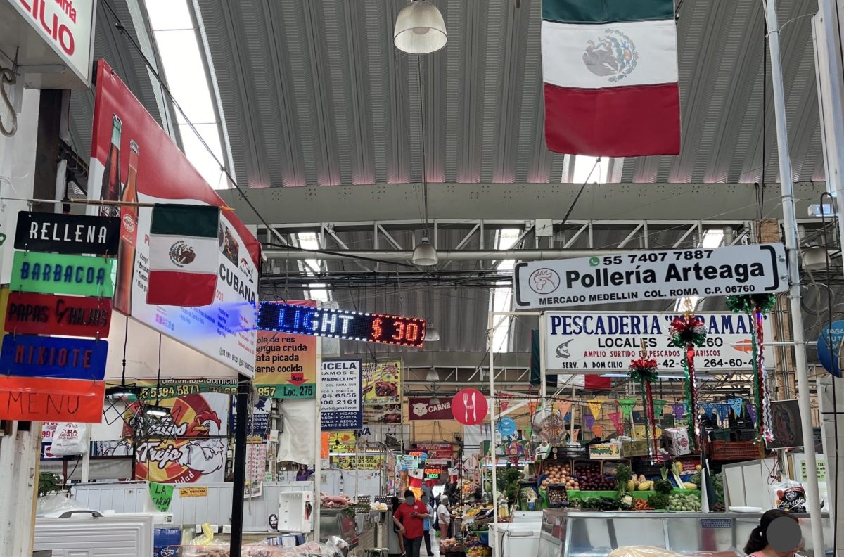 Working at an NGO in Mexico