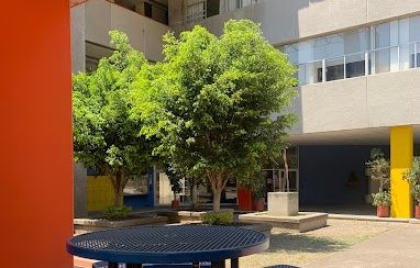 Praktikum an der deutschen Schule in Mexiko-Stadt