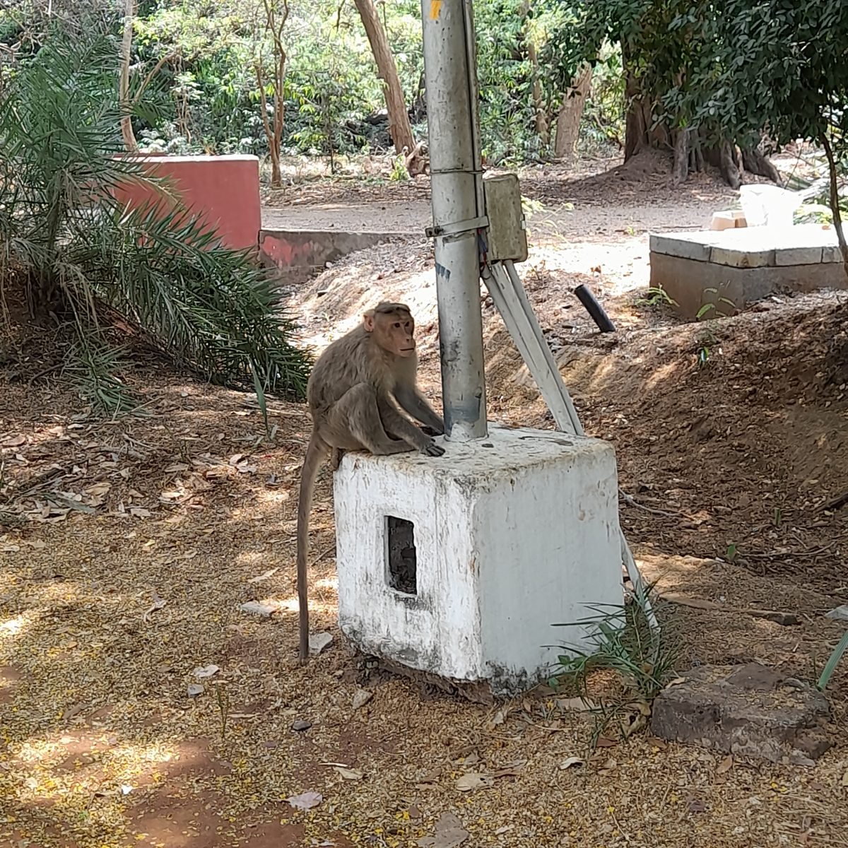 Trainingsaufenthalt in Indien