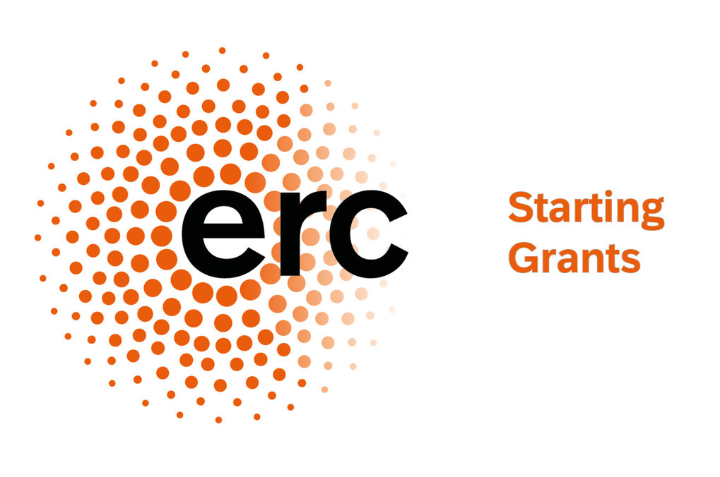 Mehr ERC Grants für Forscherinnen