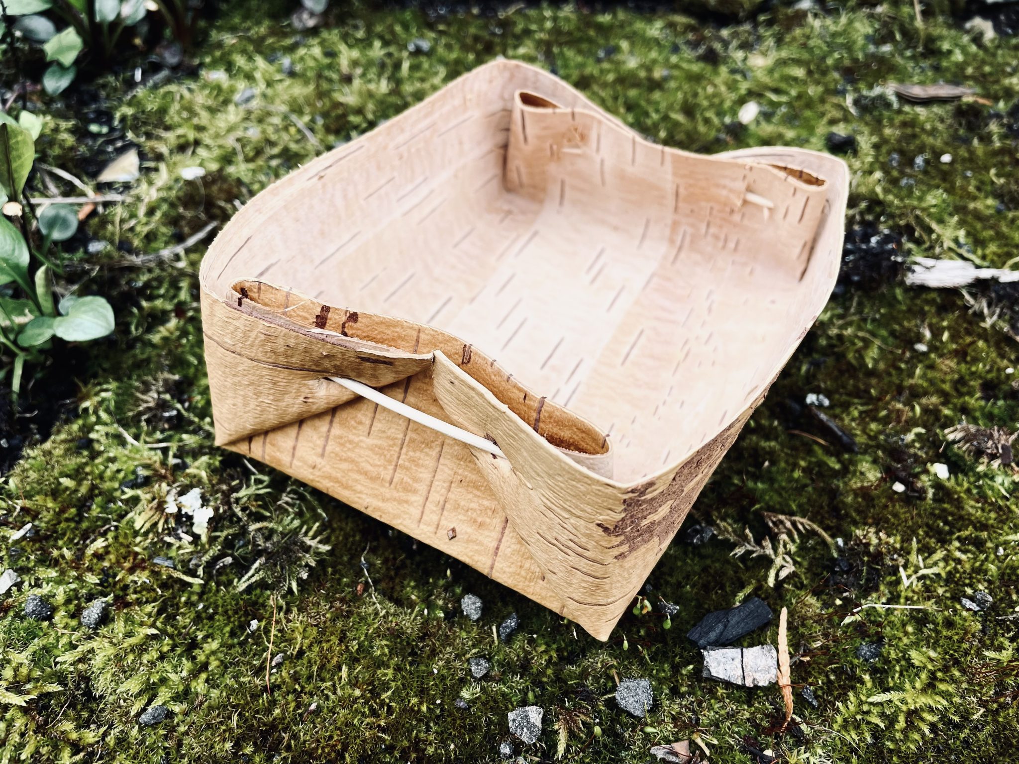 A birch bark container from Friesack The Interaction Lab