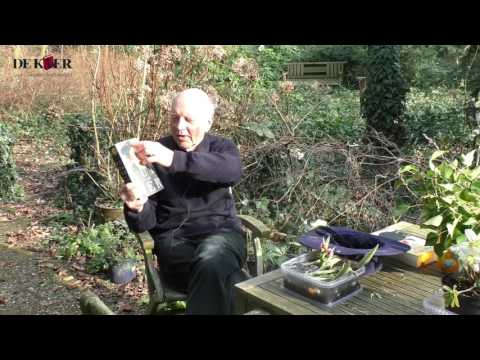 YouTube-Video-Thumbnail